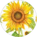 mis zuzi profile picture